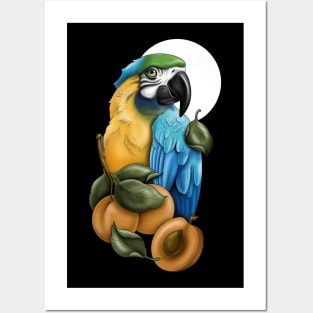 parrot Posters and Art